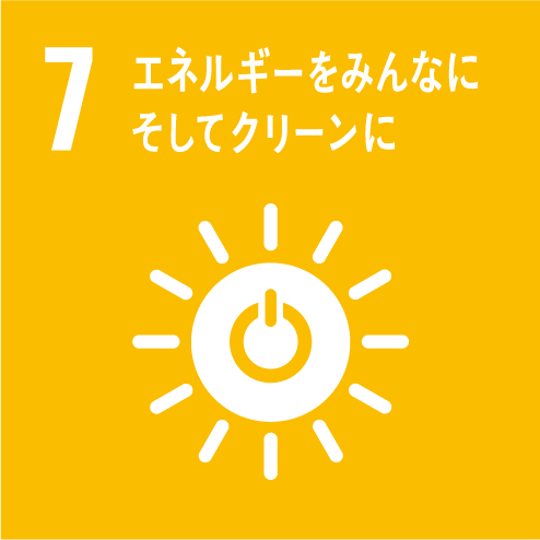 sdg_icon_07